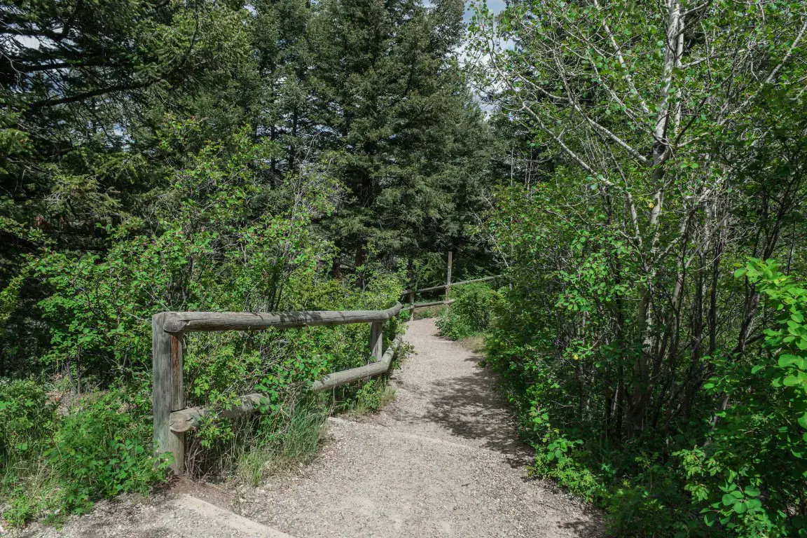 Wildwood community